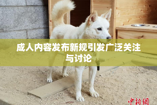 成人内容发布新规引发广泛关注与讨论