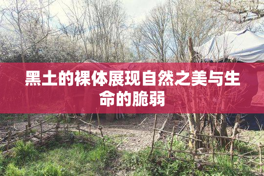 黑土的裸体展现自然之美与生命的脆弱