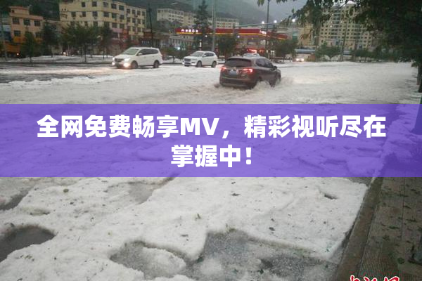 全网免费畅享MV，精彩视听尽在掌握中！