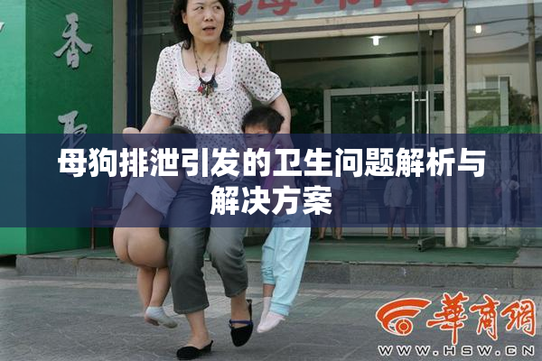 母狗排泄引发的卫生问题解析与解决方案