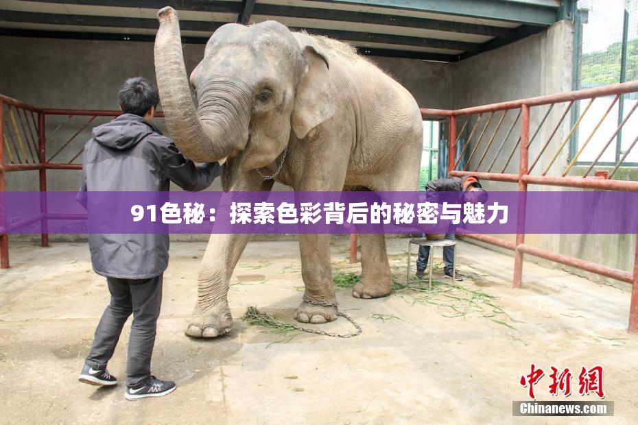 91色秘：探索色彩背后的秘密与魅力