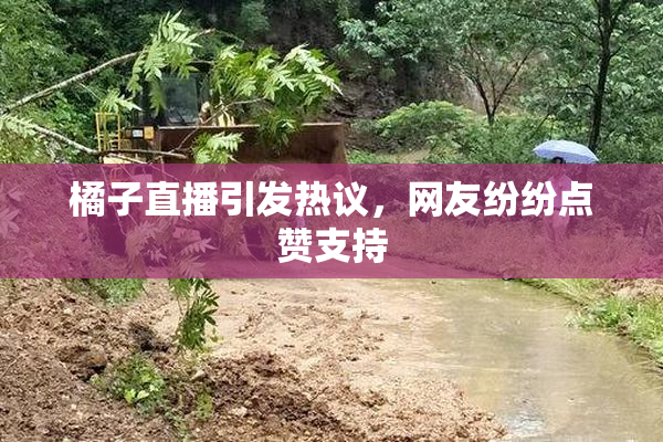 橘子直播引发热议，网友纷纷点赞支持