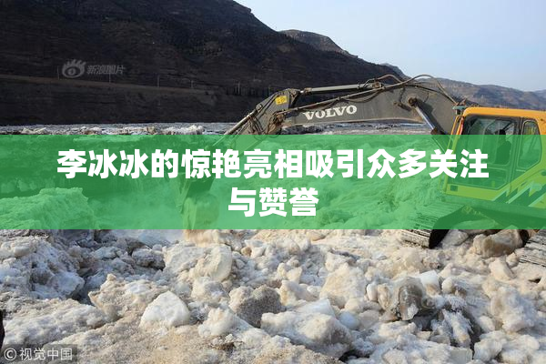 李冰冰的惊艳亮相吸引众多关注与赞誉