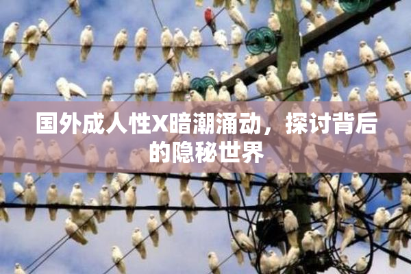 国外成人性X暗潮涌动，探讨背后的隐秘世界
