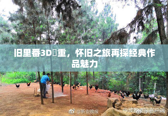 旧里番3D姉重，怀旧之旅再探经典作品魅力