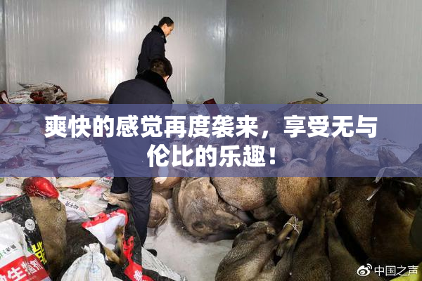 爽快的感觉再度袭来，享受无与伦比的乐趣！