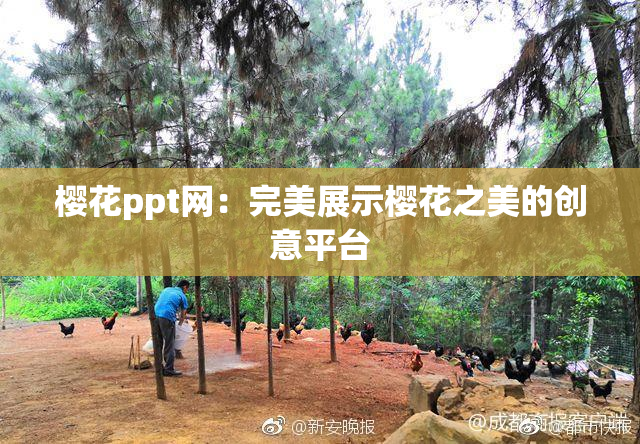 樱花ppt网：完美展示樱花之美的创意平台