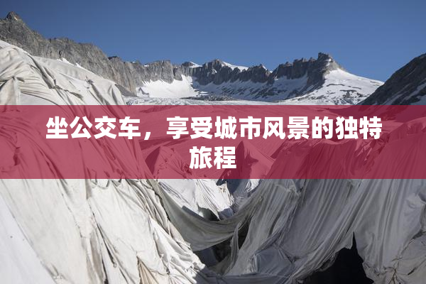 坐公交车，享受城市风景的独特旅程