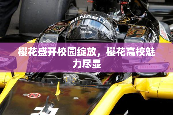 樱花盛开校园绽放，樱花高校魅力尽显