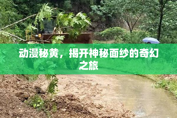 动漫秘黄，揭开神秘面纱的奇幻之旅