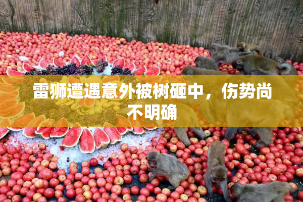 雷狮遭遇意外被树砸中，伤势尚不明确