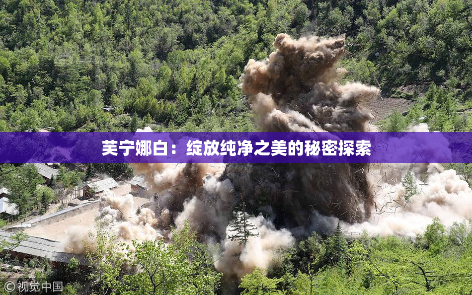 芙宁娜白：绽放纯净之美的秘密探索