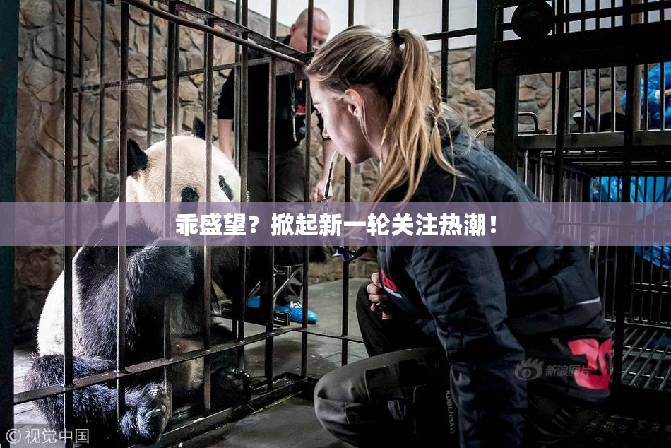 乖盛望？掀起新一轮关注热潮！