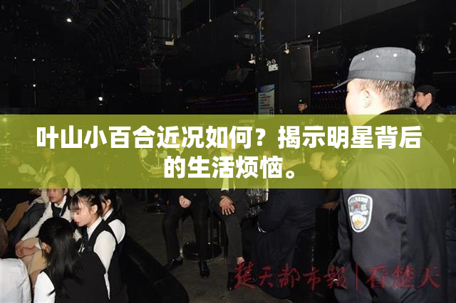 叶山小百合近况如何？揭示明星背后的生活烦恼。