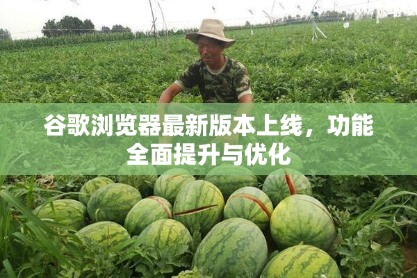 谷歌浏览器最新版本上线，功能全面提升与优化