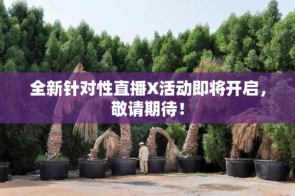 全新针对性直播X活动即将开启，敬请期待！