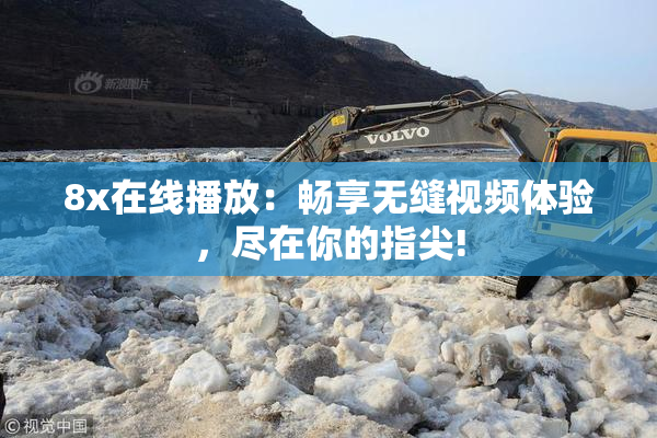 8x在线播放：畅享无缝视频体验，尽在你的指尖!