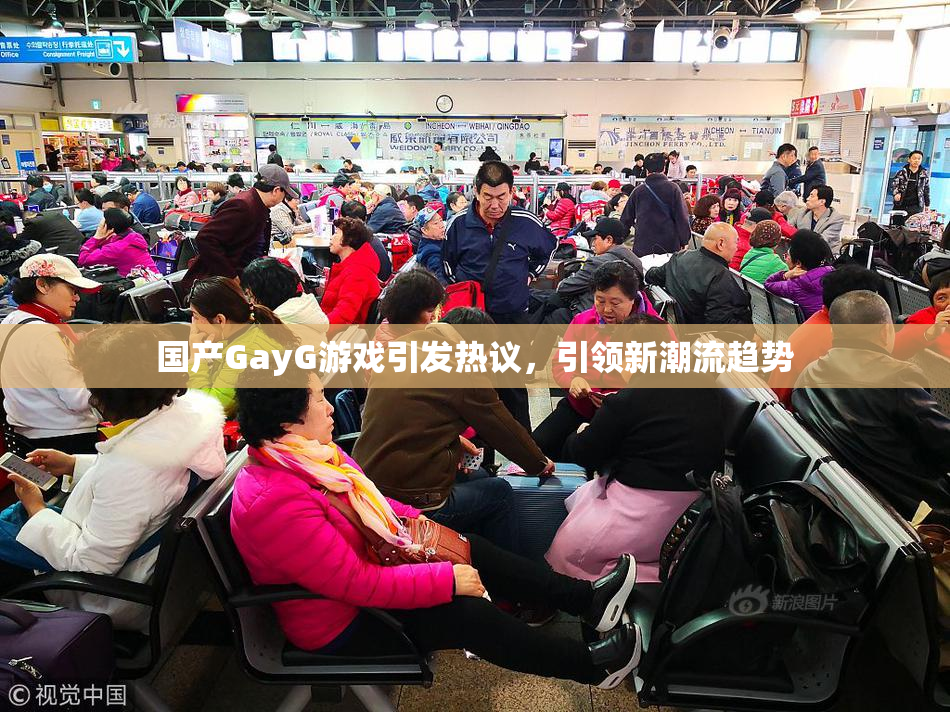 国产GayG游戏引发热议，引领新潮流趋势