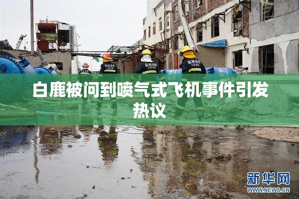 白鹿被问到喷气式飞机事件引发热议