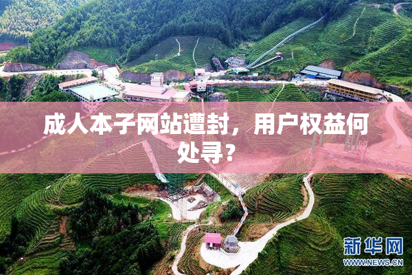 成人本子网站遭封，用户权益何处寻？