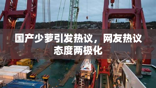 国产少萝引发热议，网友热议态度两极化