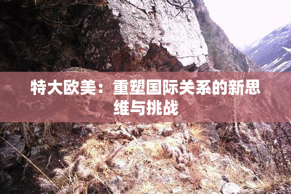 特大欧美：重塑国际关系的新思维与挑战