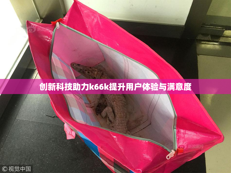 创新科技助力k66k提升用户体验与满意度