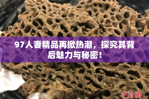 97人妻精品再掀热潮，探究其背后魅力与秘密！