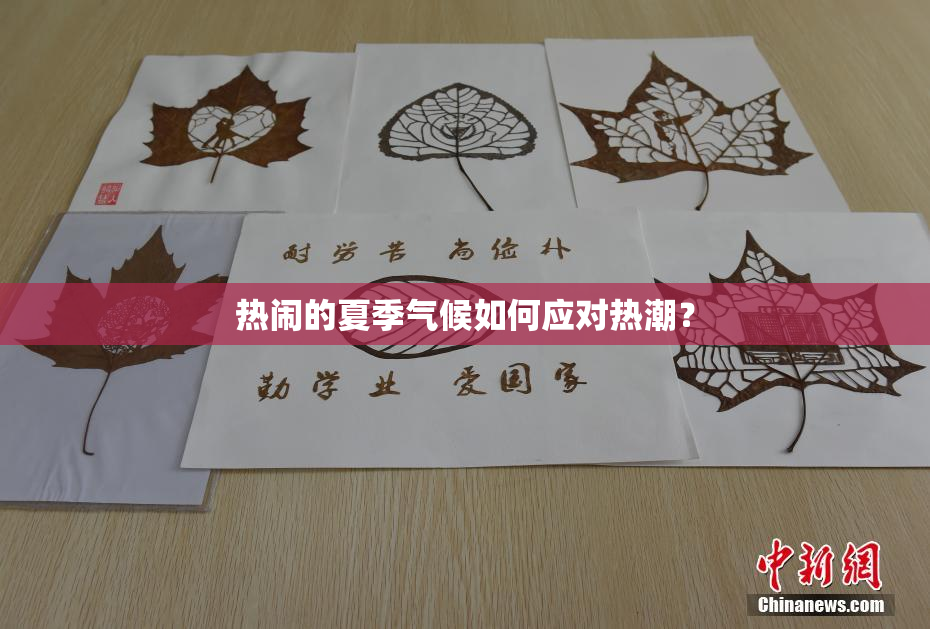 热闹的夏季气候如何应对热潮？