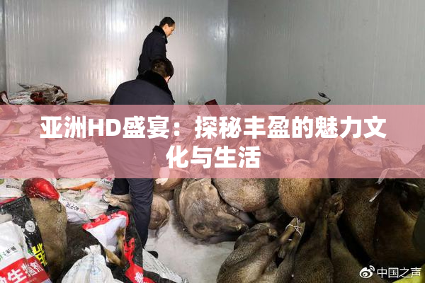 亚洲HD盛宴：探秘丰盈的魅力文化与生活