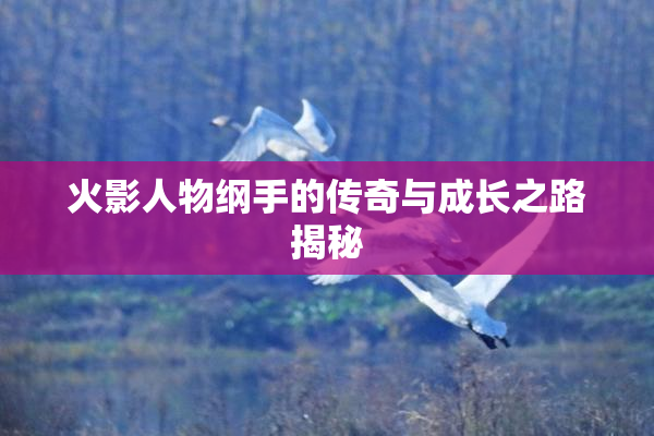 火影人物纲手的传奇与成长之路揭秘