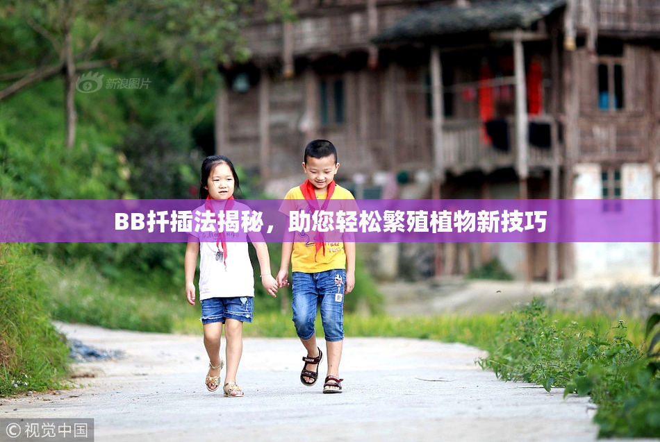 BB扦插法揭秘，助您轻松繁殖植物新技巧