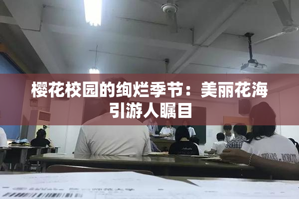 樱花校园的绚烂季节：美丽花海引游人瞩目