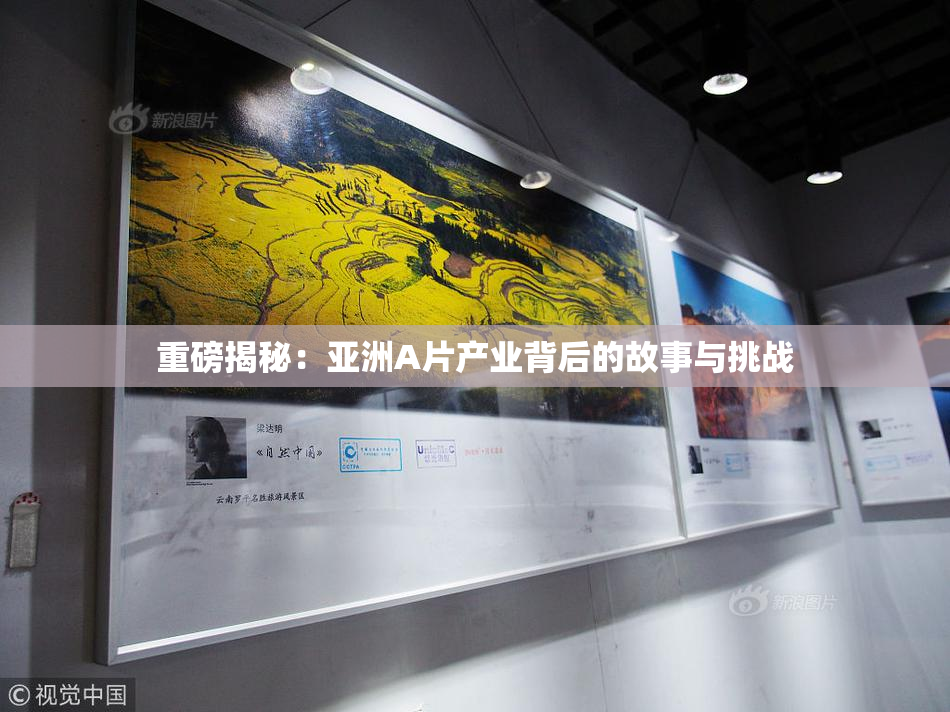重磅揭秘：亚洲A片产业背后的故事与挑战