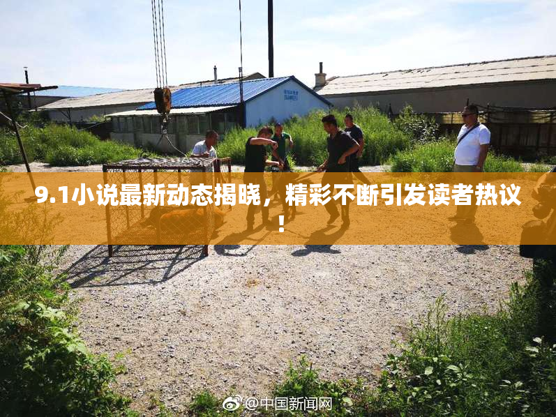 9.1小说最新动态揭晓，精彩不断引发读者热议！