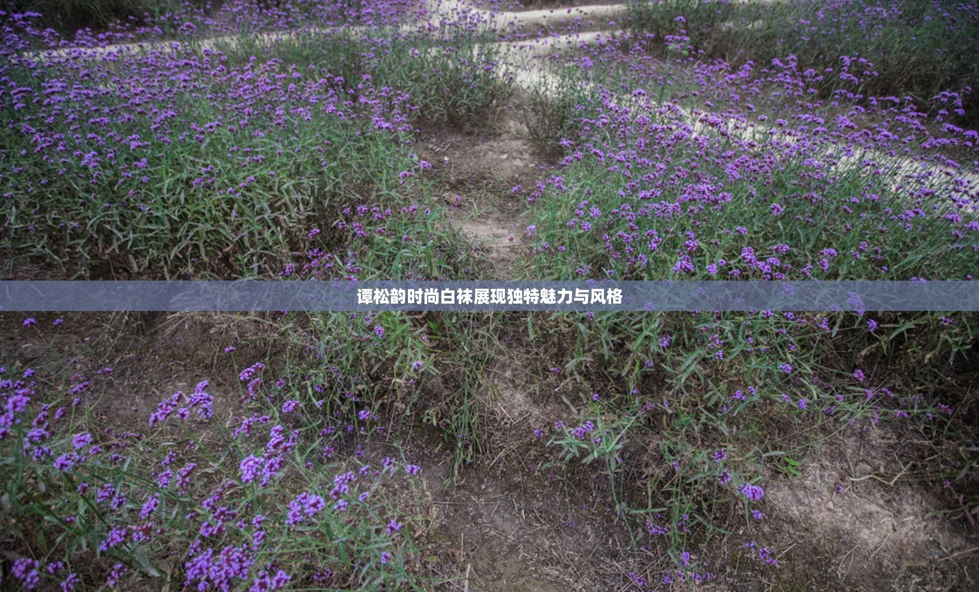 谭松韵时尚白袜展现独特魅力与风格