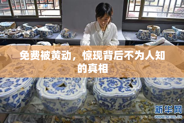 免费被黄动，惊现背后不为人知的真相