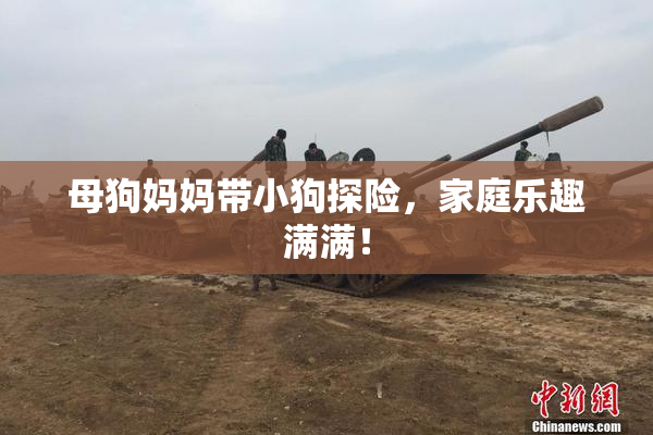 母狗妈妈带小狗探险，家庭乐趣满满！