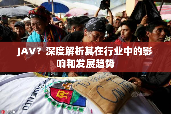JAV？深度解析其在行业中的影响和发展趋势