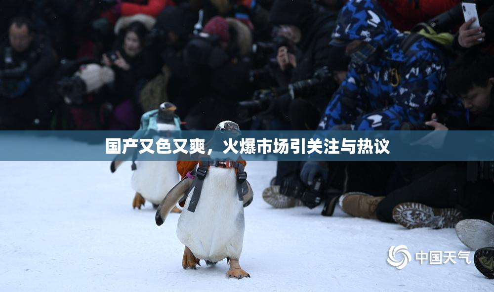 国产又色又爽，火爆市场引关注与热议