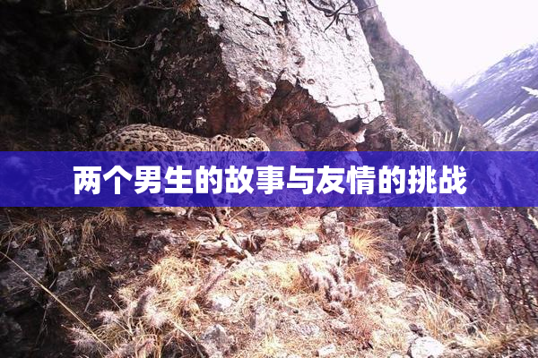 两个男生的故事与友情的挑战