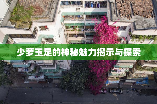 少萝玉足的神秘魅力揭示与探索