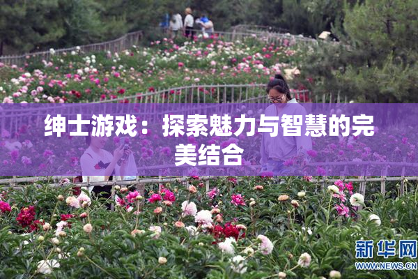 绅士游戏：探索魅力与智慧的完美结合