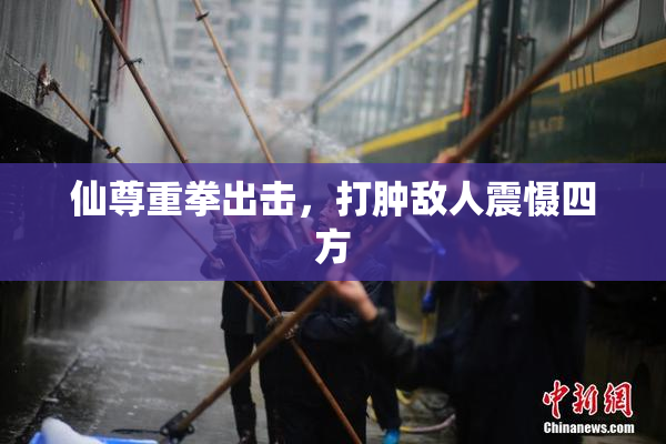仙尊重拳出击，打肿敌人震慑四方