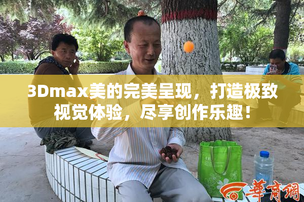 3Dmax美的完美呈现，打造极致视觉体验，尽享创作乐趣！