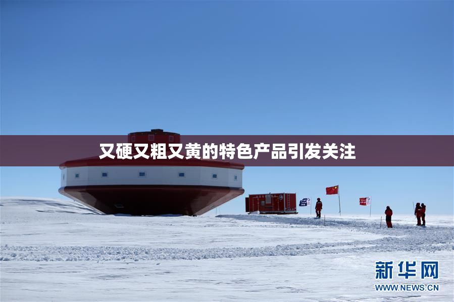 又硬又粗又黄的特色产品引发关注