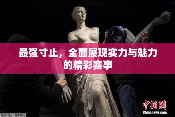 最强寸止，全面展现实力与魅力的精彩赛事
