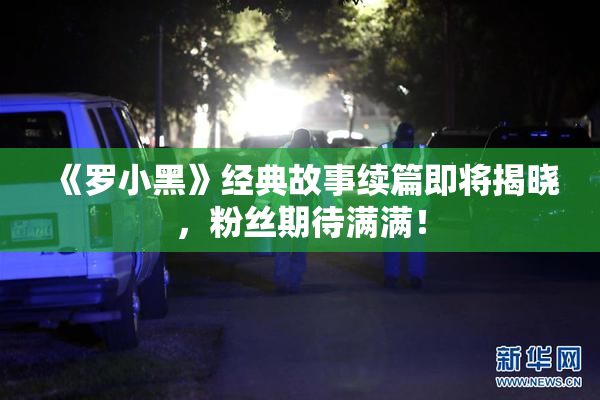 《罗小黑》经典故事续篇即将揭晓，粉丝期待满满！