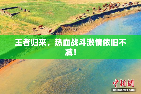 王者归来，热血战斗激情依旧不减！