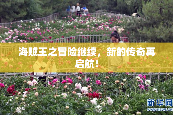 海贼王之冒险继续，新的传奇再启航！